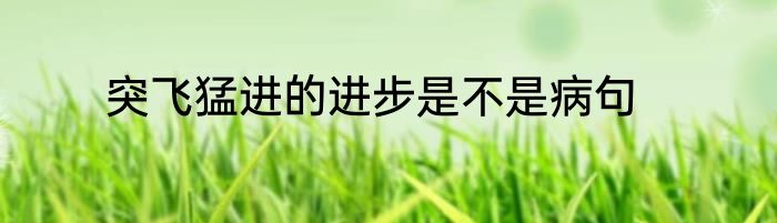 突飞猛进的进步是不是病句
