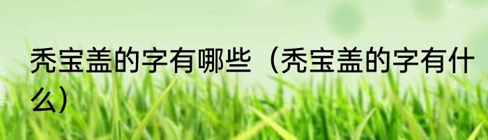 秃宝盖的字有哪些（秃宝盖的字有什么）