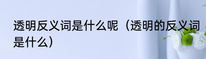 透明反义词是什么呢（透明的反义词是什么）