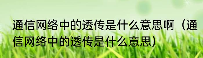 通信网络中的透传是什么意思啊（通信网络中的透传是什么意思）