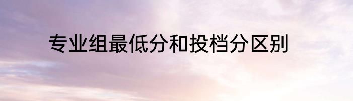 专业组最低分和投档分区别