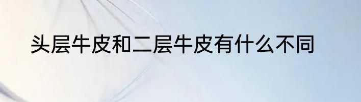 头层牛皮和二层牛皮有什么不同