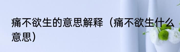 痛不欲生的意思解释（痛不欲生什么意思）