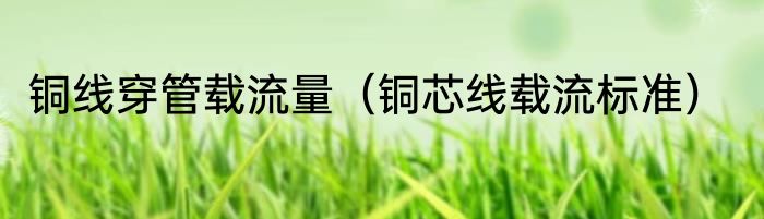 铜线穿管载流量（铜芯线载流标准）