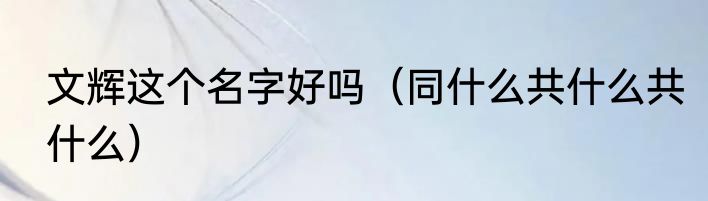 文辉这个名字好吗（同什么共什么共什么）
