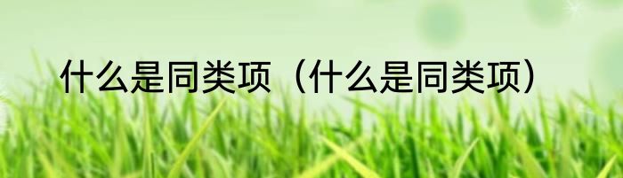 什么是同类项（什么是同类项）