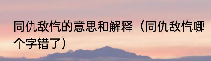 同仇敌忾的意思和解释（同仇敌忾哪个字错了）