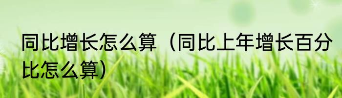 同比增长怎么算（同比上年增长百分比怎么算）