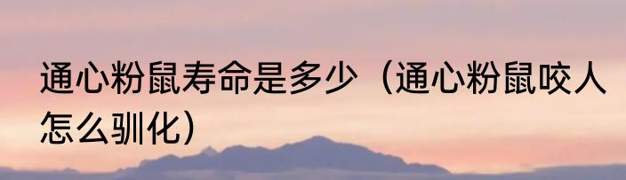 通心粉鼠寿命是多少（通心粉鼠咬人怎么驯化）