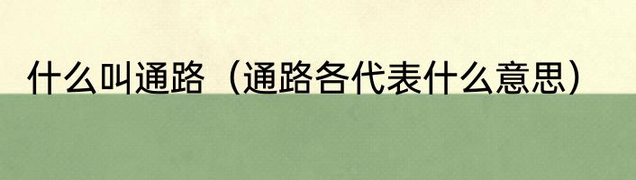 什么叫通路（通路各代表什么意思）