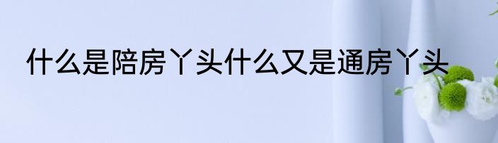 什么是陪房丫头什么又是通房丫头