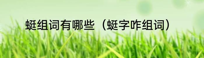 蜓组词有哪些（蜓字咋组词）