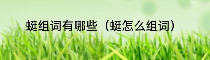 蜓组词有哪些（蜓怎么组词）