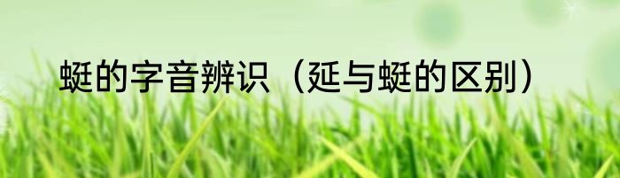 蜓的字音辨识（延与蜓的区别）