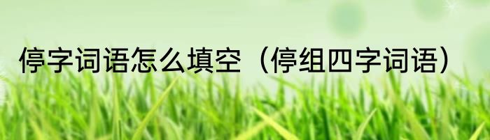 停字词语怎么填空（停组四字词语）