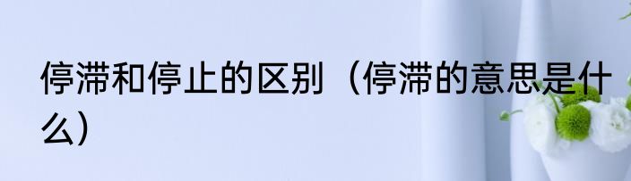 停滞和停止的区别（停滞的意思是什么）
