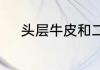 头层牛皮和二层牛皮有什么不同