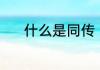 什么是同传（同传是什么意思）