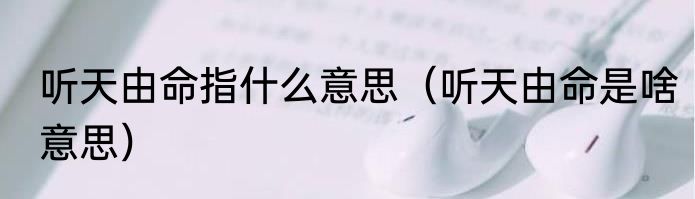 听天由命指什么意思（听天由命是啥意思）