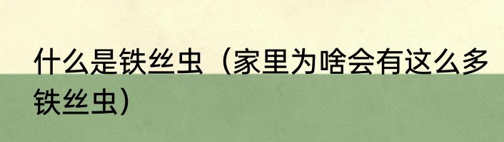 什么是铁丝虫（家里为啥会有这么多铁丝虫）