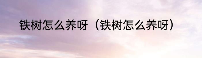 铁树怎么养呀（铁树怎么养呀）