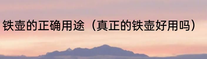 铁壶的正确用途（真正的铁壶好用吗）