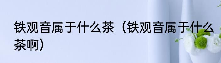 铁观音属于什么茶（铁观音属于什么茶啊）