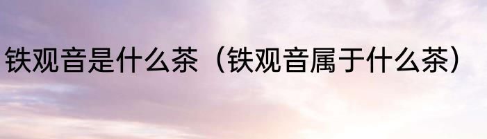 铁观音是什么茶（铁观音属于什么茶）