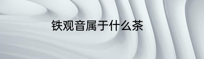 铁观音属于什么茶