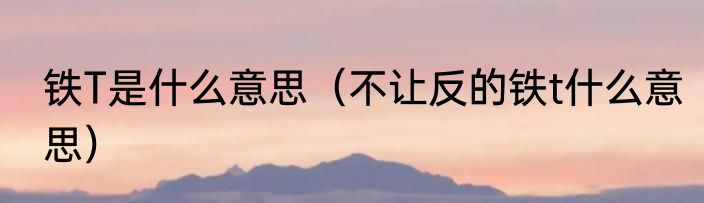 铁T是什么意思（不让反的铁t什么意思）