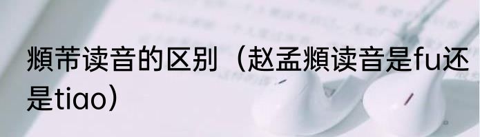 頫芾读音的区别（赵孟頫读音是fu还是tiao）