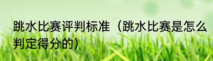 跳水比赛评判标准（跳水比赛是怎么判定得分的）