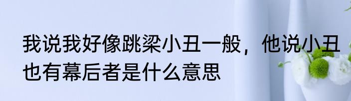 我说我好像跳梁小丑一般，他说小丑也有幕后者是什么意思