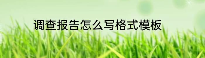调查报告怎么写格式模板