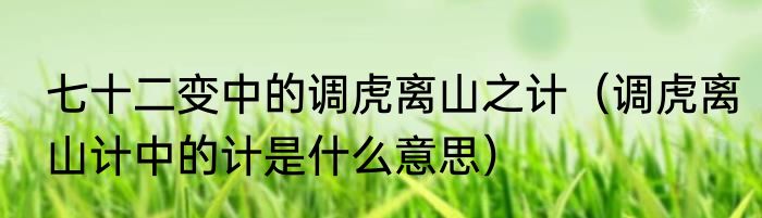 七十二变中的调虎离山之计（调虎离山计中的计是什么意思）