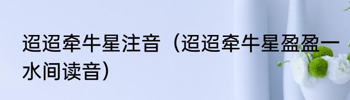 迢迢牵牛星注音（迢迢牵牛星盈盈一水间读音）