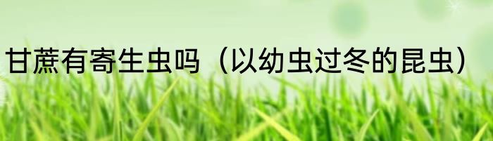 甘蔗有寄生虫吗（以幼虫过冬的昆虫）