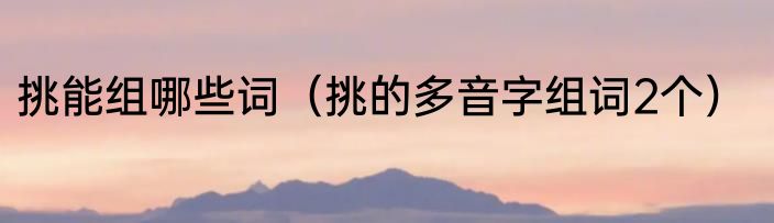 挑能组哪些词（挑的多音字组词2个）