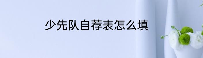少先队自荐表怎么填