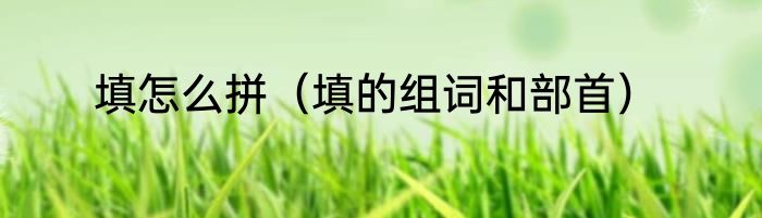 填怎么拼（填的组词和部首）