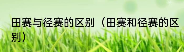 田赛与径赛的区别（田赛和径赛的区别）