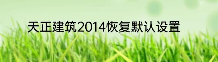 天正建筑2014恢复默认设置