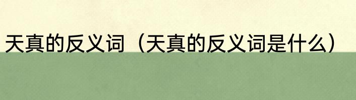 天真的反义词（天真的反义词是什么）