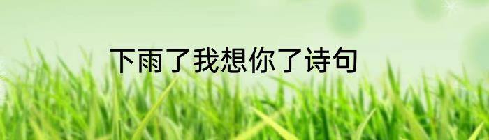 下雨了我想你了诗句