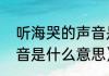 听海哭的声音是哪首歌（听海哭的声音是什么意思）