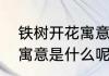 铁树开花寓意什么含义（铁树开花的寓意是什么呢）