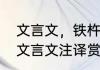 文言文，铁杵成针的译文（铁字成针文言文注译赏析）