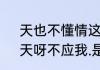 天也不懂情这首歌含义（我问天呀，天呀不应我.是不是天也不懂情）