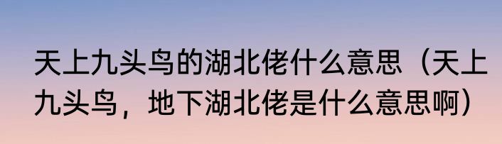 天上九头鸟的湖北佬什么意思（天上九头鸟，地下湖北佬是什么意思啊）