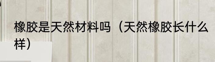 橡胶是天然材料吗（天然橡胶长什么样）